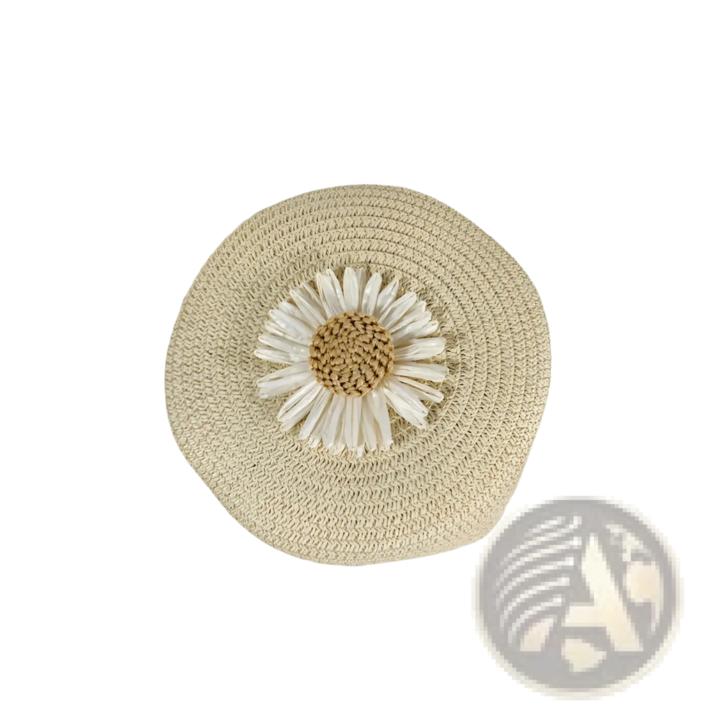 Daisy Straw Crossbody Bag Round Woven Shoulder Purse