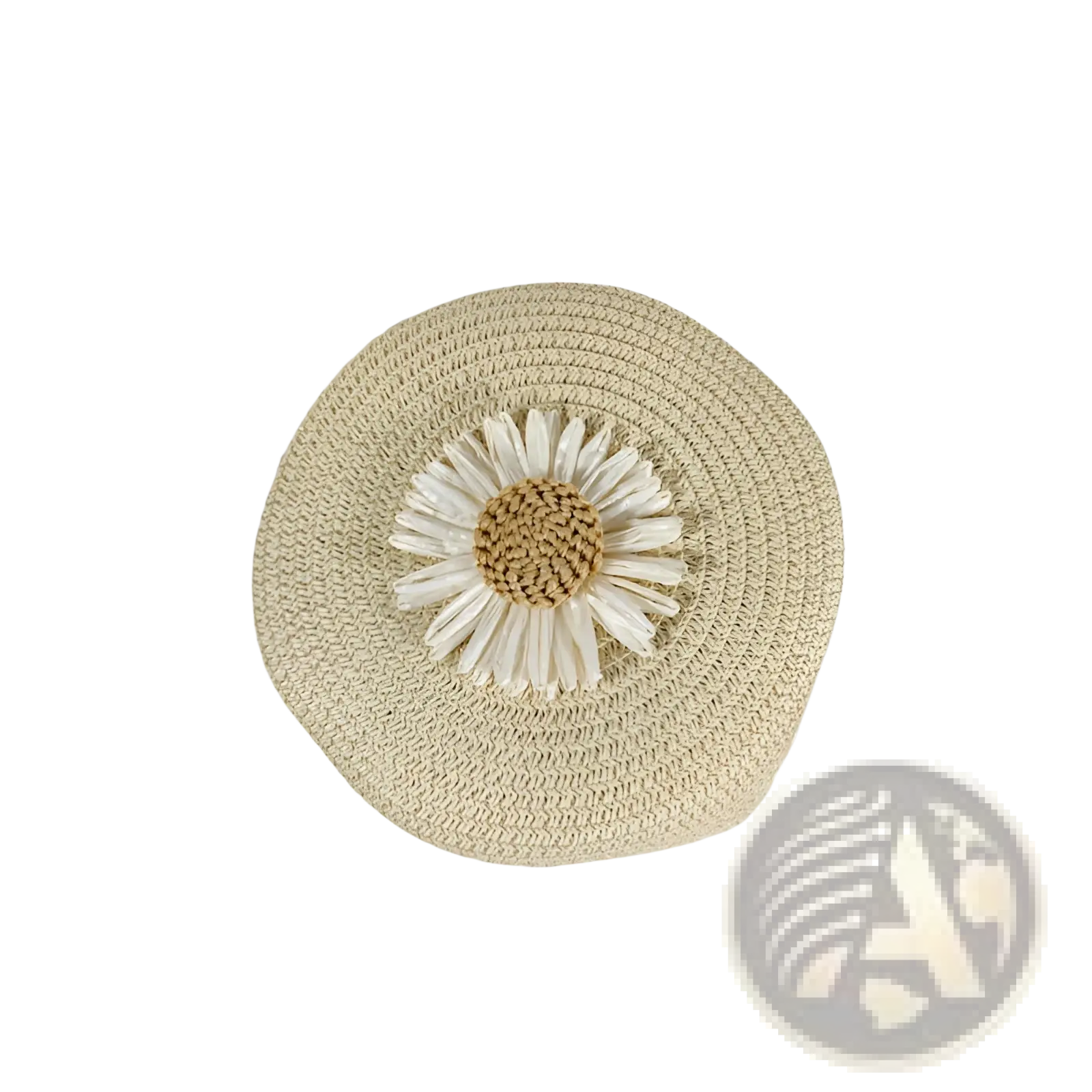 Daisy Straw Crossbody Bag Round Woven Shoulder Purse